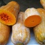 Bí đỏ trái dài tươi ngon an toàn VietGAP